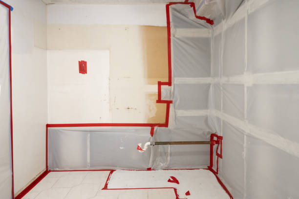 Best Dehumidification Services  in Fowler, MI