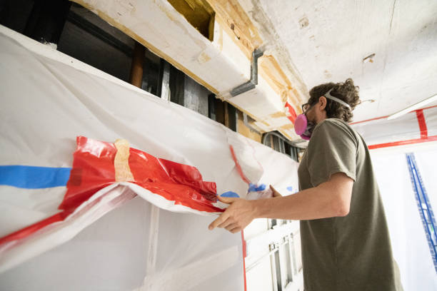 Best Airborne Mold Testing  in Fowler, MI